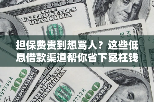 济南担保费贵到想骂人？这些低息借款渠道帮你省下冤枉钱