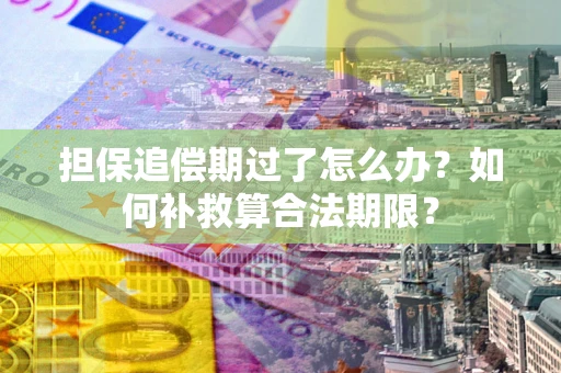 济南担保追偿期过了怎么办？如何补救算合法期限？