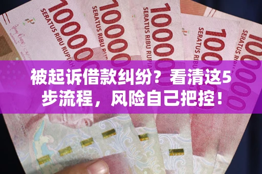 济南被起诉借款纠纷？看清这5步流程，风险自己把控！
